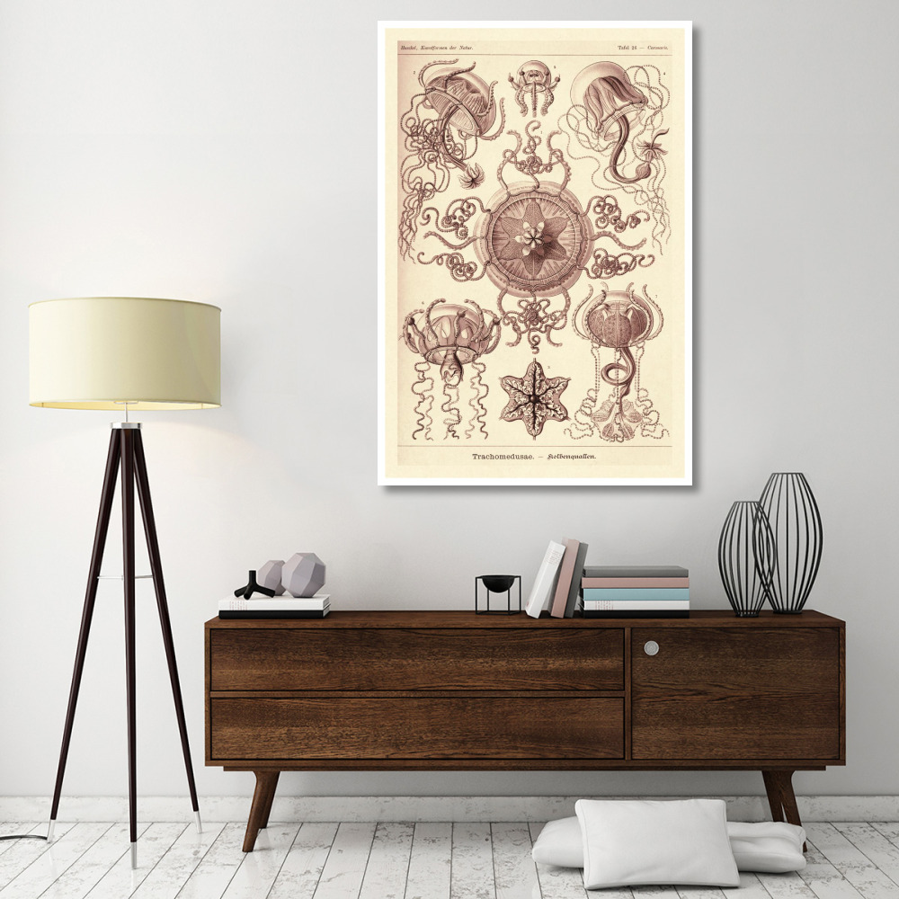 Haeckel Nature Illustrations Trachomedusae - Jellyfish - Rose Tint-Paper Art-42&quotx62"