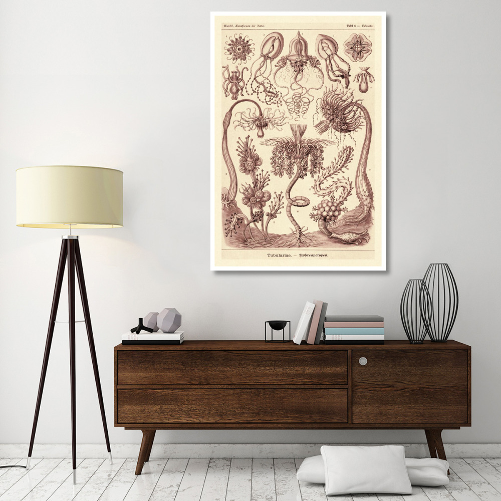 Haeckel Nature Illustrations Tubularida - Tubularians - Rose Tint-Paper Art-42&quotx62"
