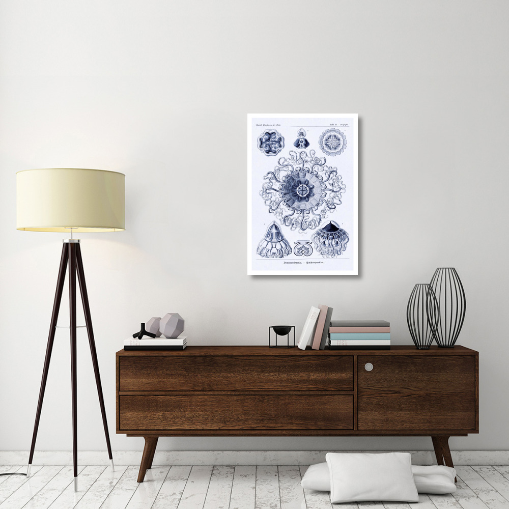 Haeckel Nature Illustrations Polycytaria Radiolaria - Dark Blue Tint-Paper Art-26&quotx38"