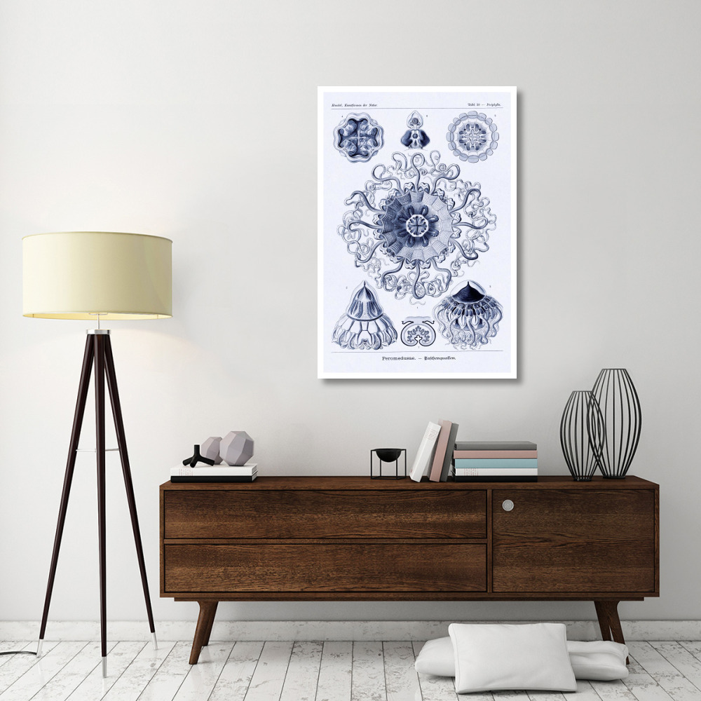 Haeckel Nature Illustrations Polycytaria Radiolaria - Dark Blue Tint-Paper Art-34&quotx50"