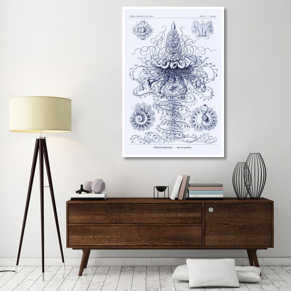 Haeckel Nature Illustrations Tubularida - Tubularians - Dark Blue Tint-Paper Art-42&quotx62"