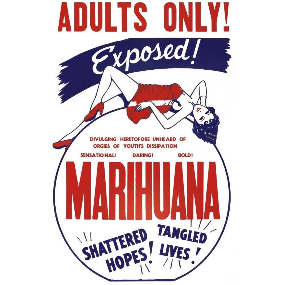 Vintage Vices Adults Only Marihuana-Paper Art-42&quotx62"