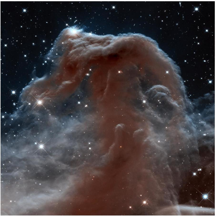 Horsehead Nebula, Infrared View-Paper Art-20&quotx20"