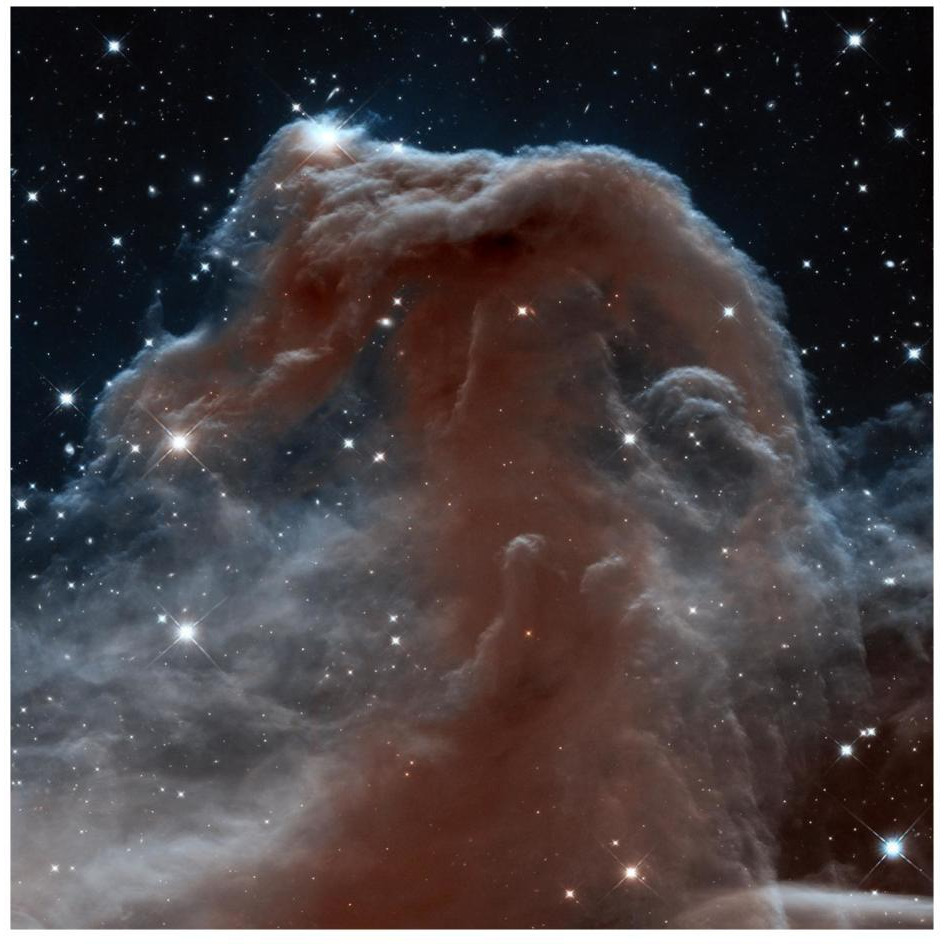 Horsehead Nebula, Infrared View-Paper Art-26&quotx26"