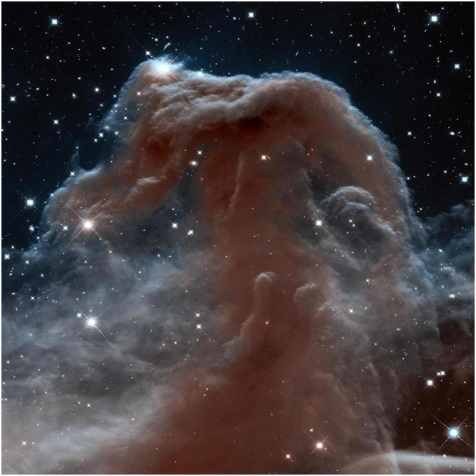 Horsehead Nebula, Infrared View-Paper Art-38&quotx38"