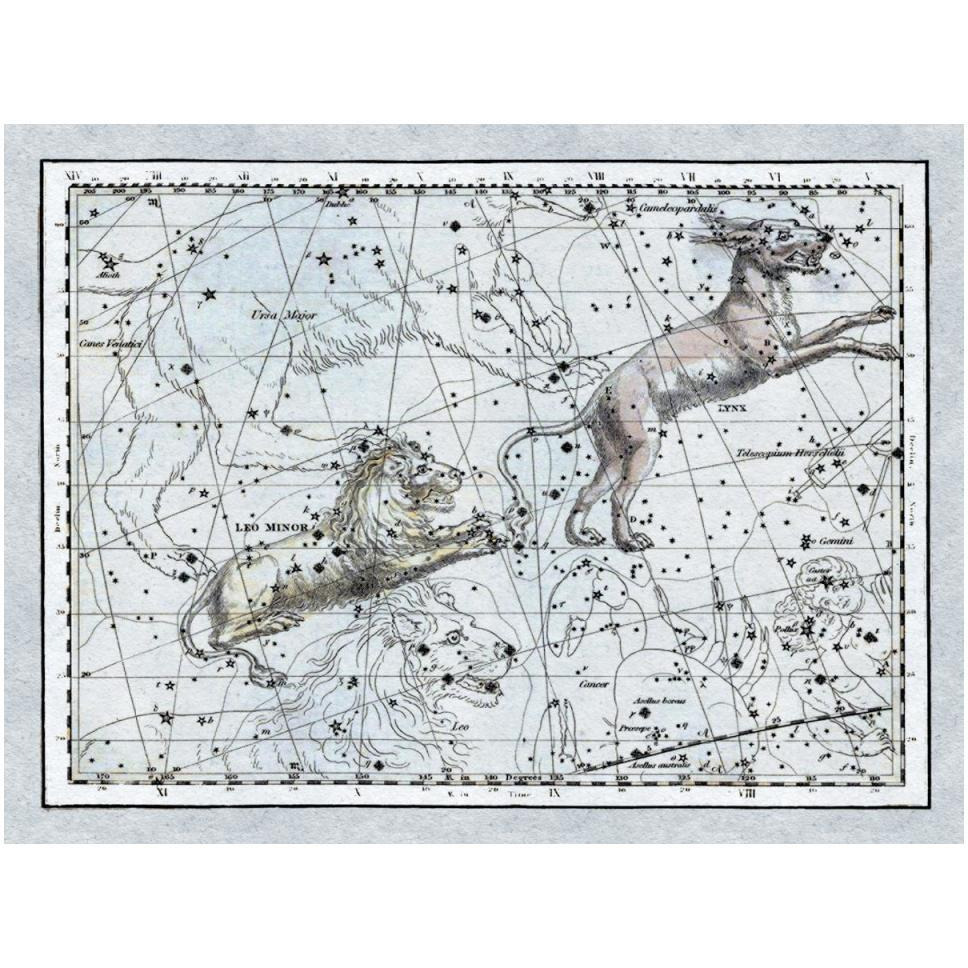 Maps of the Heavens Leo Minor-Paper Art-50&quotx38"