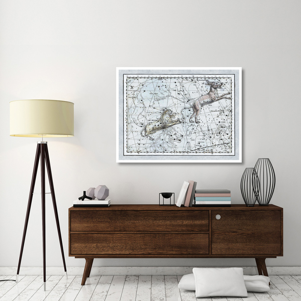 Maps of the Heavens Leo Minor-Paper Art-50&quotx38"