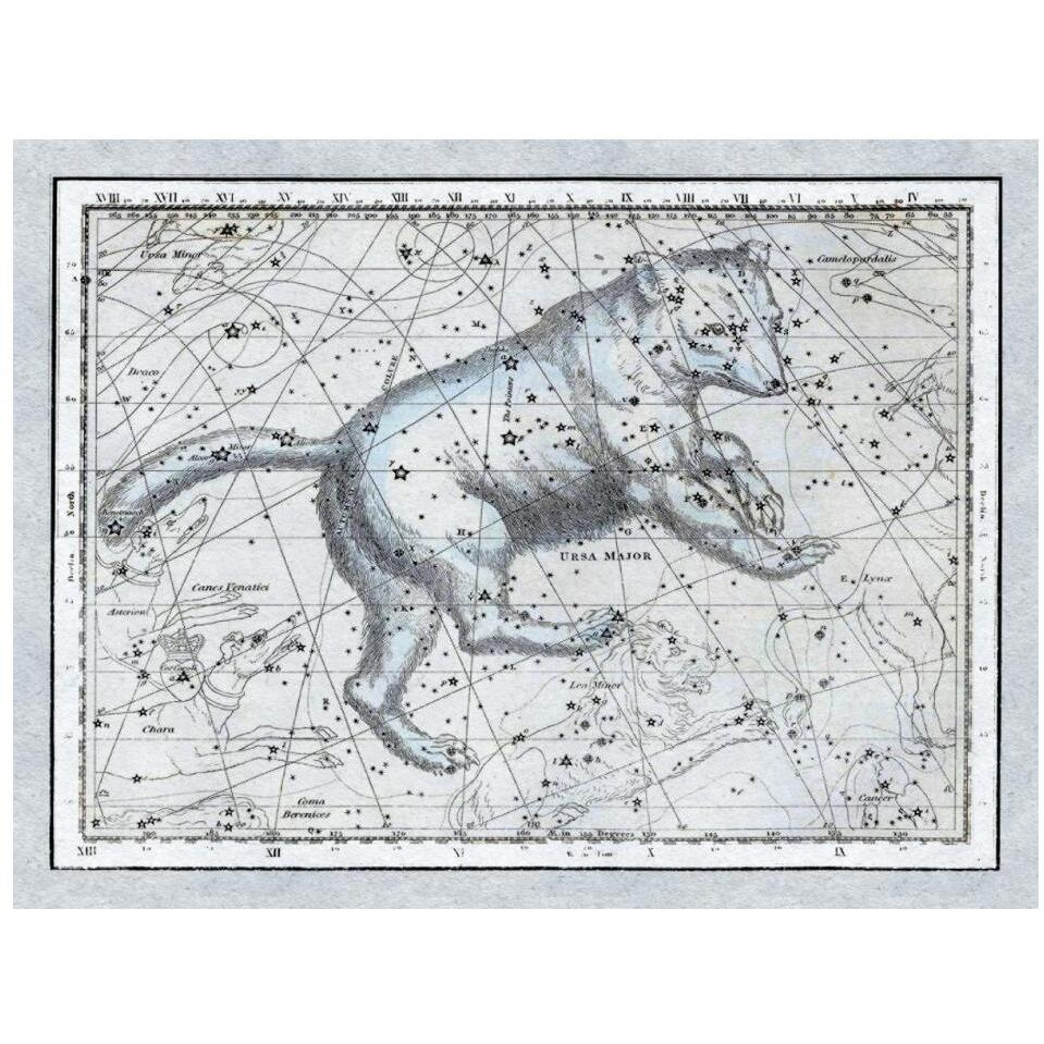 Maps of the Heavens Ursa Major - The Great Bear-Paper Art-18&quotx14"