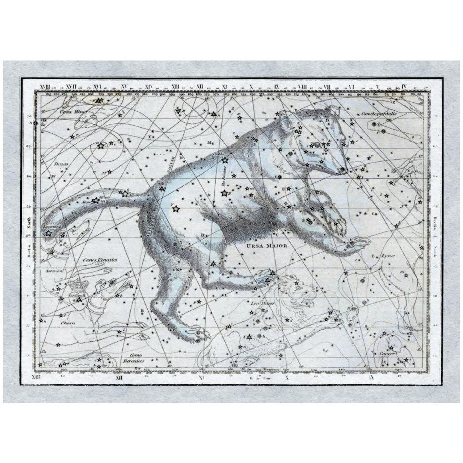 Maps of the Heavens Ursa Major - The Great Bear-Paper Art-26&quotx20"