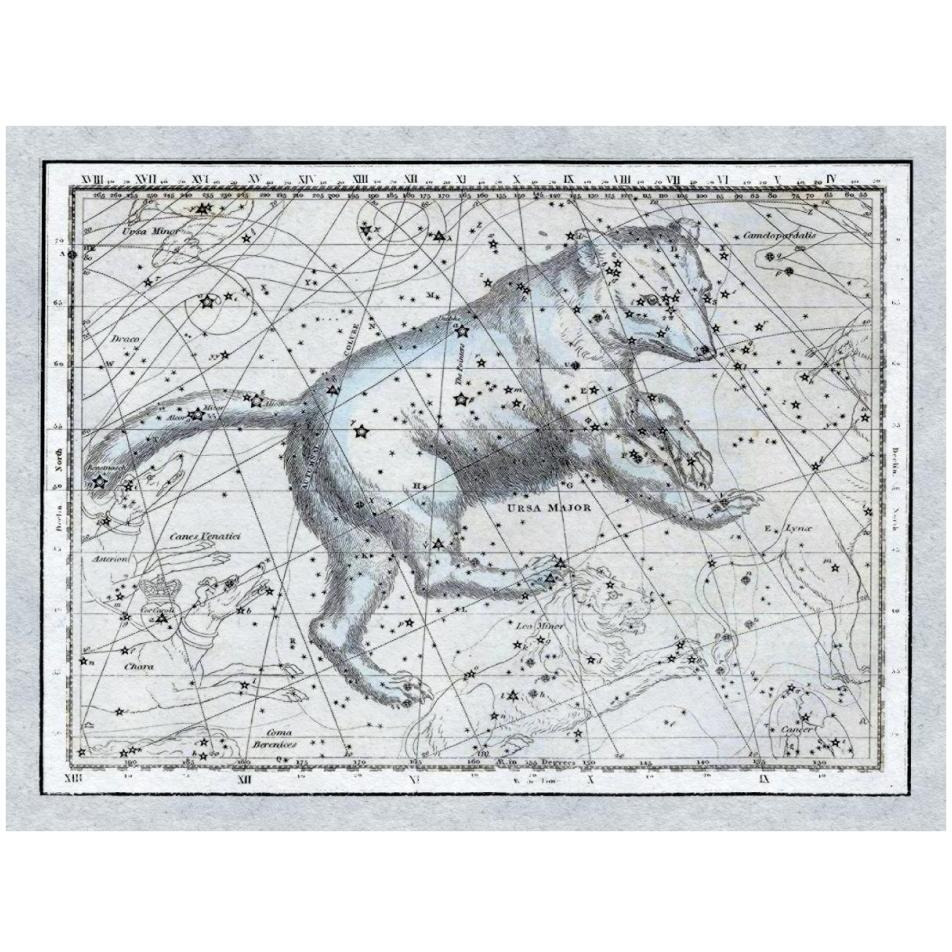 Maps of the Heavens Ursa Major - The Great Bear-Paper Art-34&quotx26"