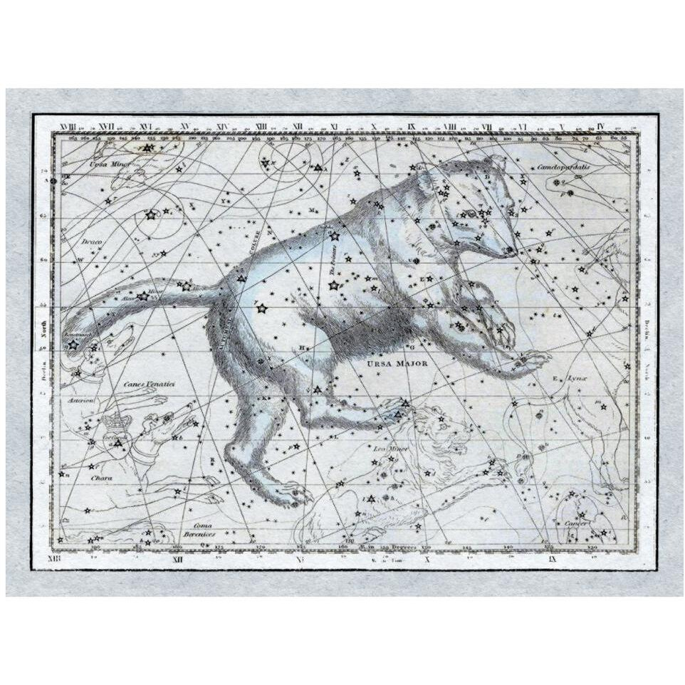 Maps of the Heavens Ursa Major - The Great Bear-Paper Art-42&quotx32"
