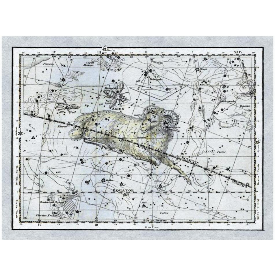 Maps of the Heavens Aries the Ram-Paper Art-34&quotx26"