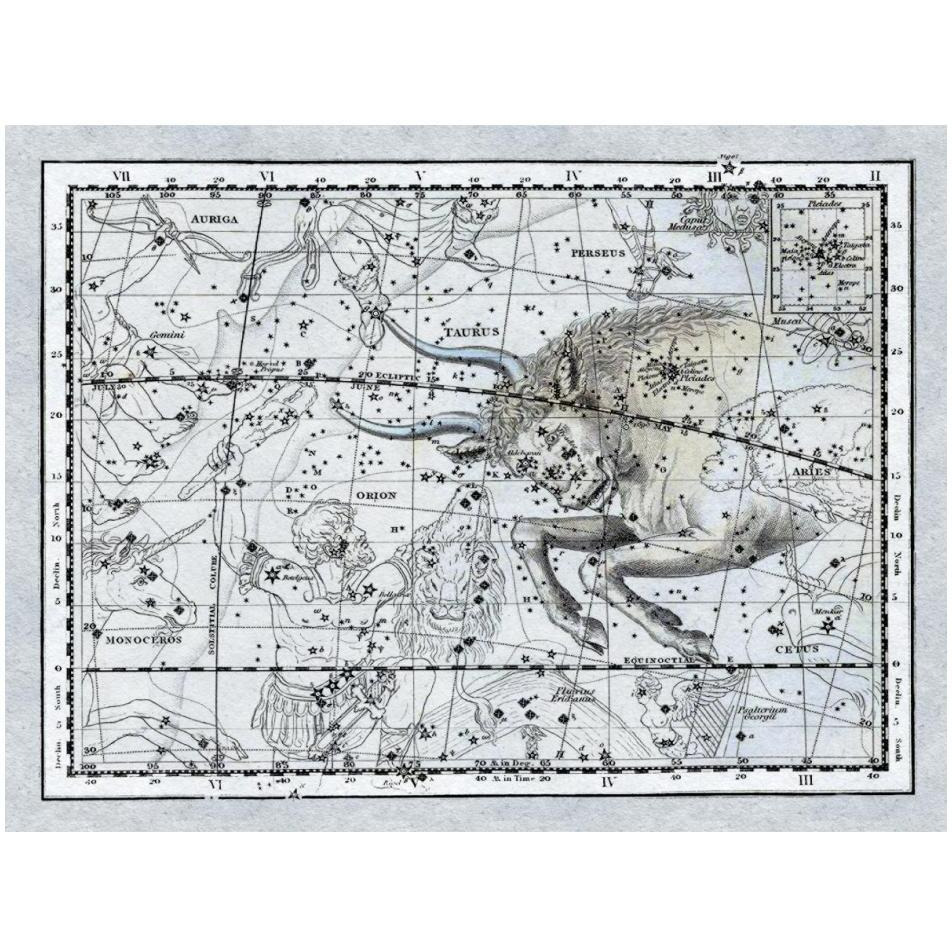 Maps of the Heavens Taurus the Bull-Paper Art-18&quotx14"