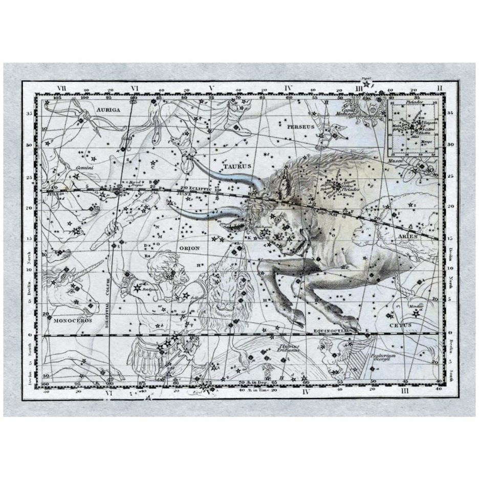 Maps of the Heavens Taurus the Bull-Paper Art-26&quotx20"