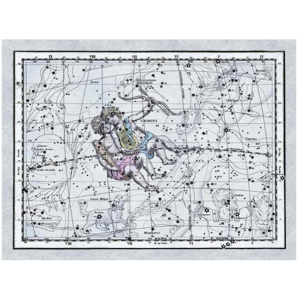 Maps of the Heavens Gemini - the Twins - Castor and Pollux-Paper Art-34&quotx26"