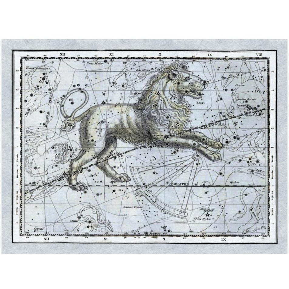 Maps of the Heavens Leo - The Nemean Lion-Paper Art-18&quotx14"