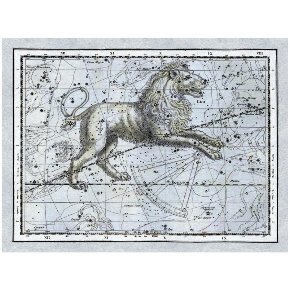 Maps of the Heavens Leo - The Nemean Lion-Paper Art-26&quotx20"