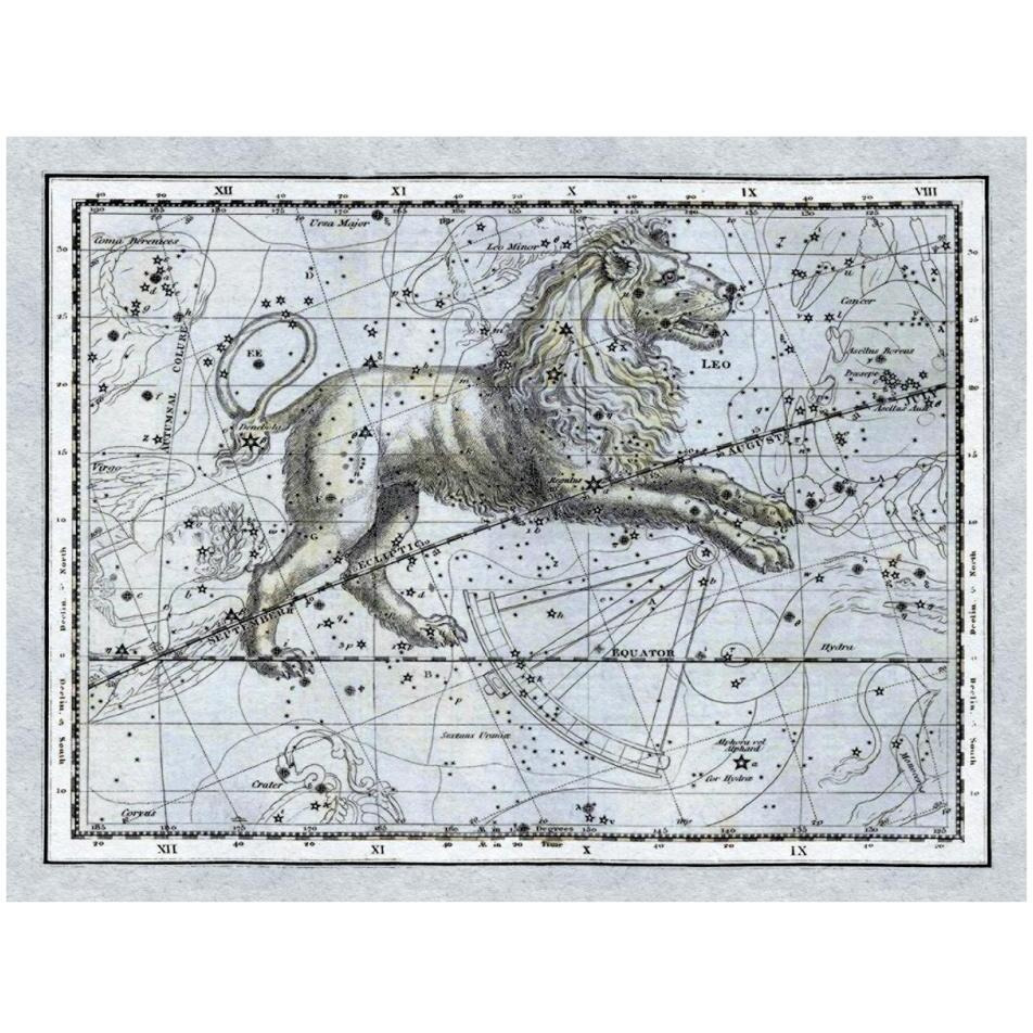 Maps of the Heavens Leo - The Nemean Lion-Paper Art-34&quotx26"