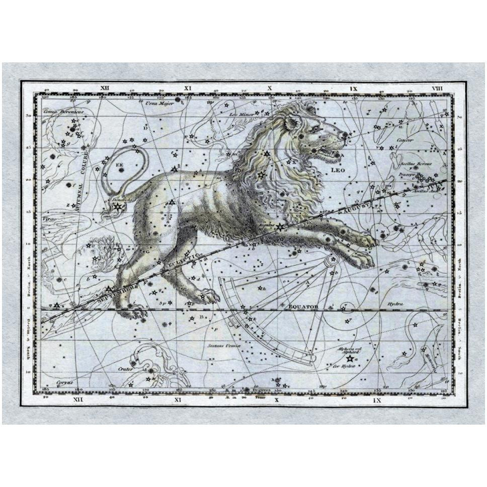 Maps of the Heavens Leo - The Nemean Lion-Paper Art-50&quotx38"