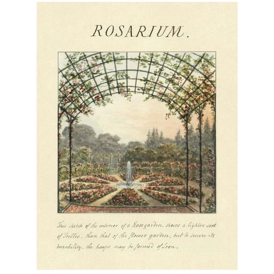 Rosarium, 1813-Paper Art-20&quotx26"
