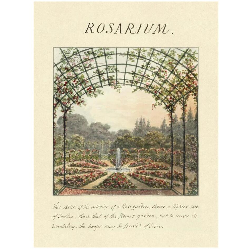 Rosarium, 1813-Paper Art-26&quotx34"