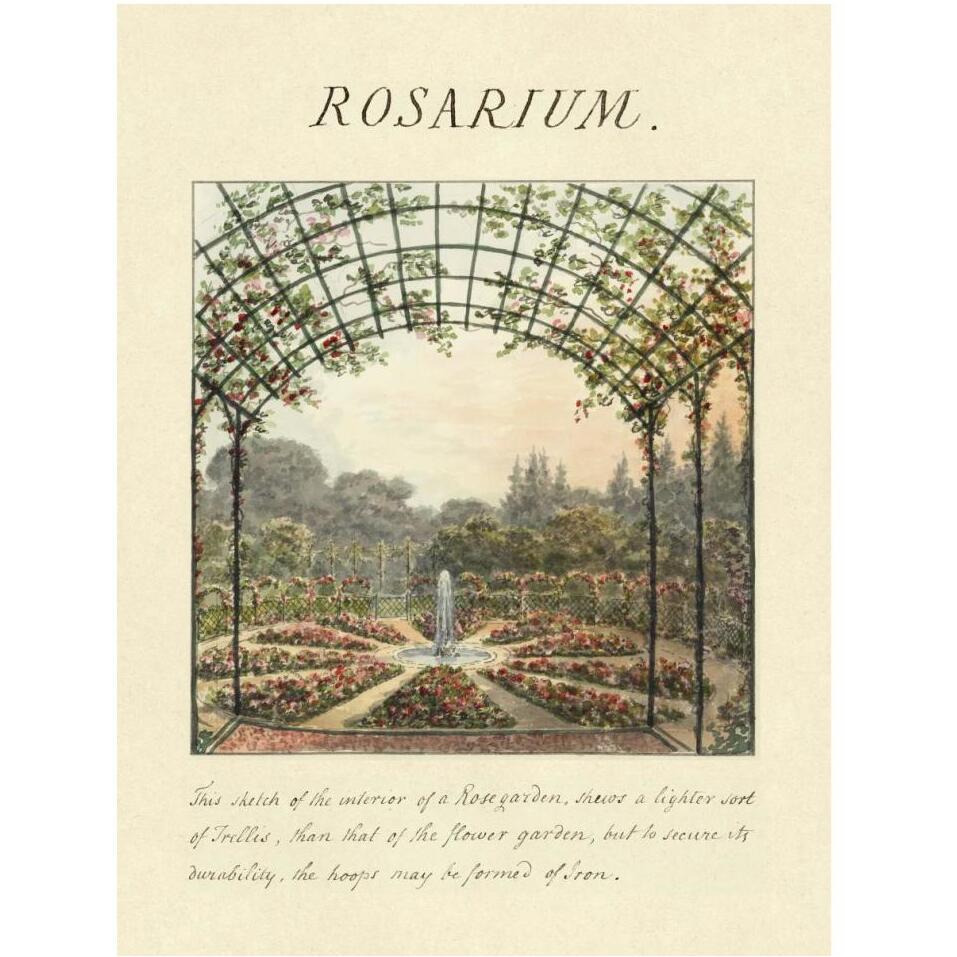 Rosarium, 1813-Paper Art-32&quotx42"
