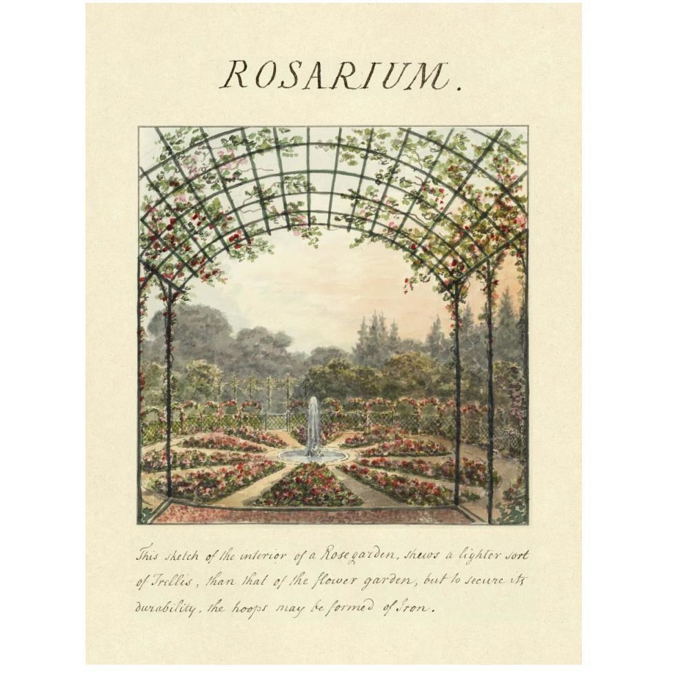 Rosarium, 1813-Paper Art-38&quotx50"