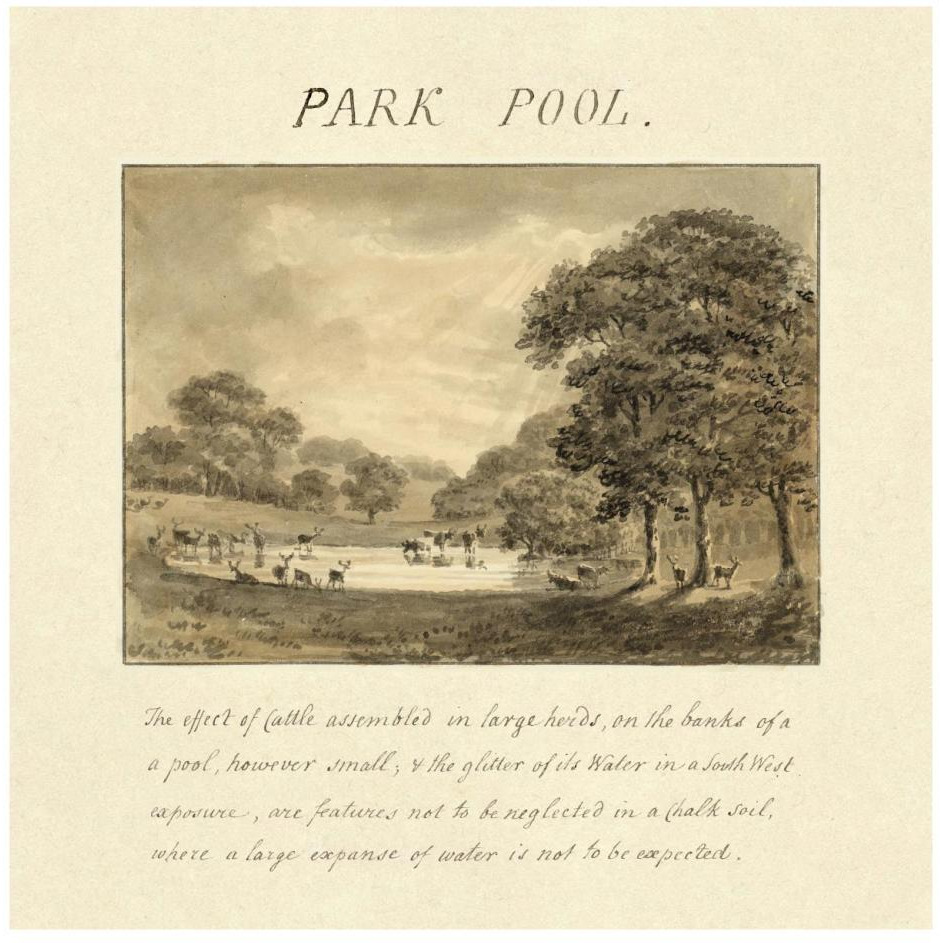 Park Pool, 1813-Paper Art-26&quotx26"
