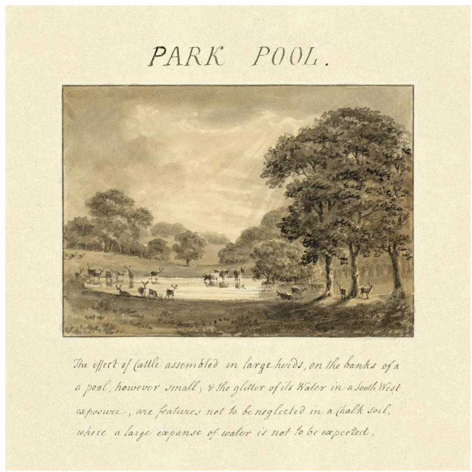 Park Pool, 1813-Paper Art-38&quotx38"