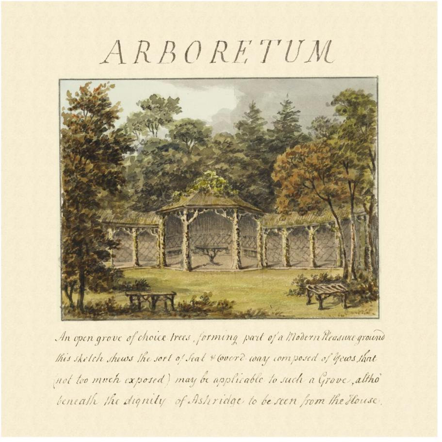 Arboretum, 1813-Paper Art-20&quotx20"