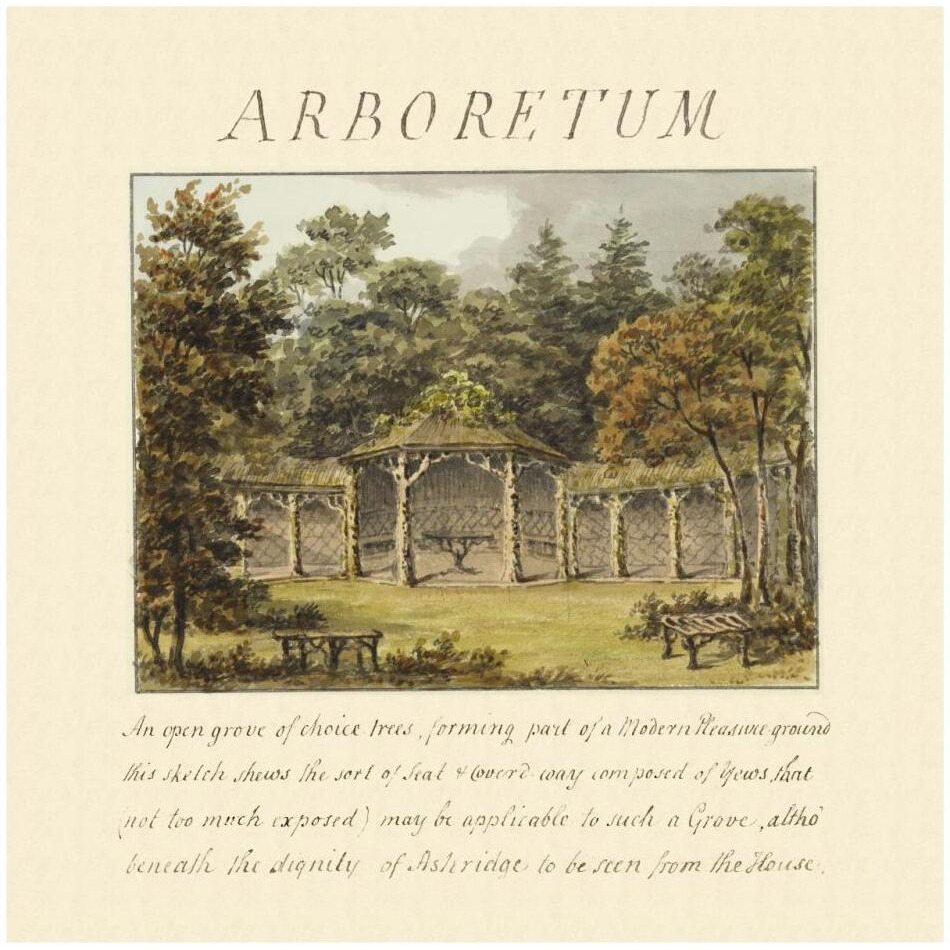 Arboretum, 1813-Paper Art-32&quotx32"