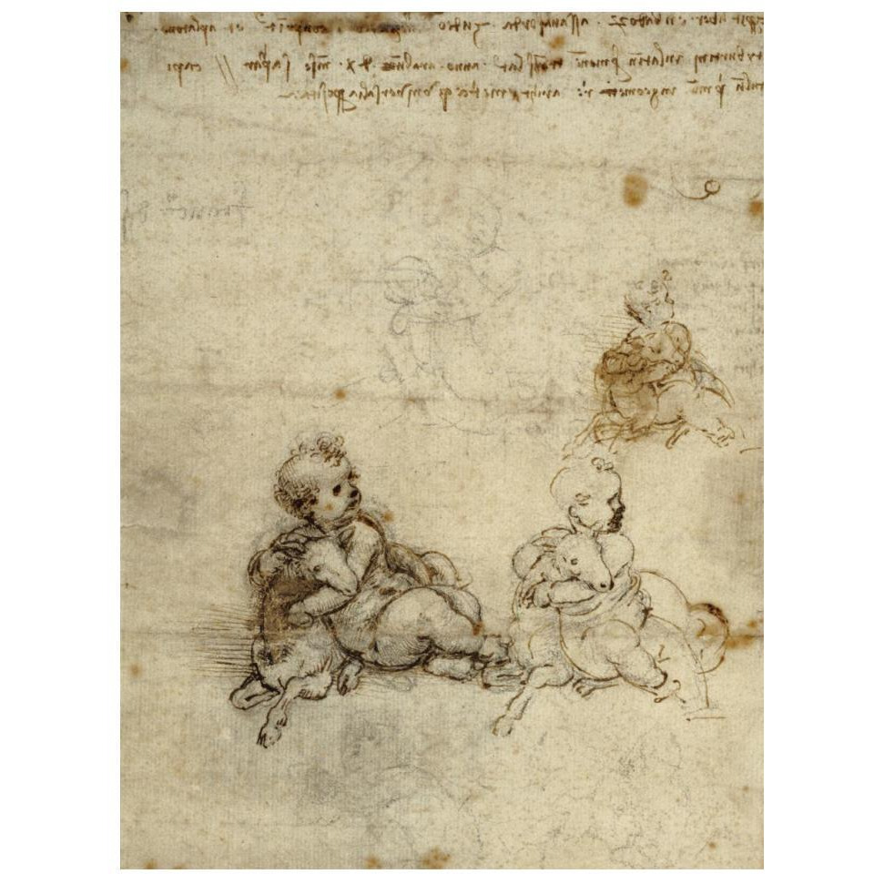 Studies for the Christ Child with a Lamb (recto)-Paper Art-14&quotx18"