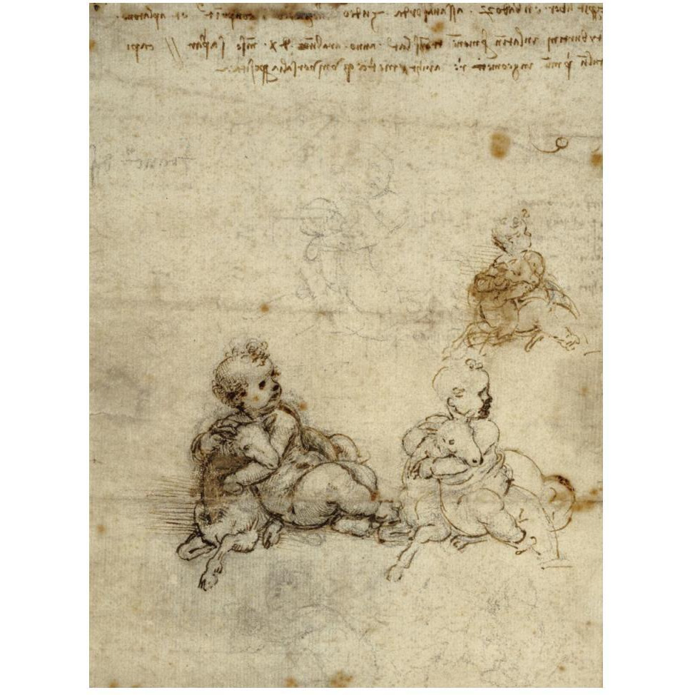 Studies for the Christ Child with a Lamb (recto)-Paper Art-38&quotx50"
