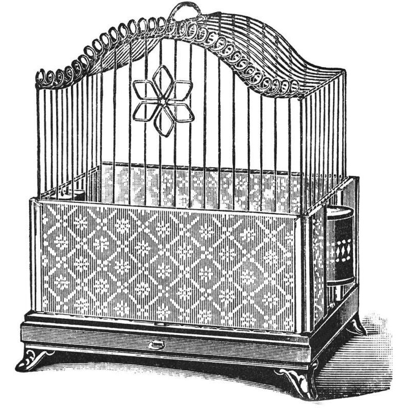 Etchings Birdcage - Flower detail.-Paper Art-32&quotx32"