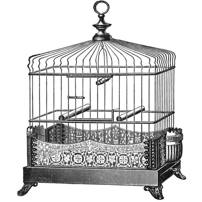Etchings Birdcage - Filigree base.-Paper Art-32&quotx32"