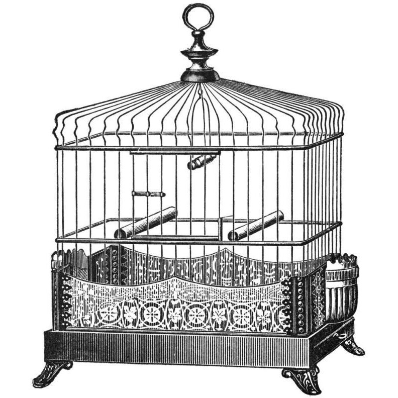 Etchings Birdcage - Filigree base.-Paper Art-38&quotx38"