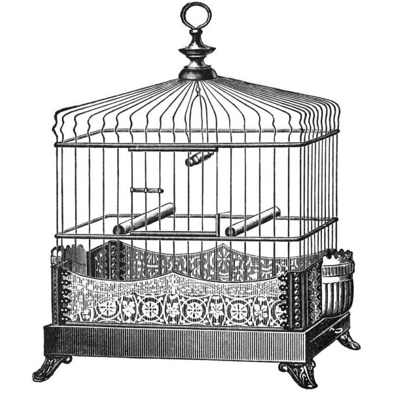 Etchings Birdcage - Filigree base.-Paper Art-42&quotx42"