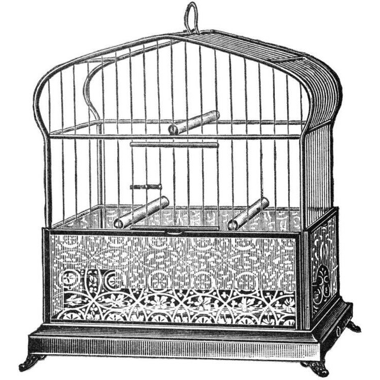 Etchings Birdcage - Onion-peak top, filigree pattern base-Paper Art-20&quotx20"