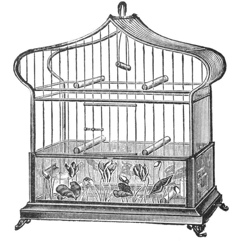 Etchings Birdcage - Onion-peak top, floral base.-Paper Art-38&quotx38"