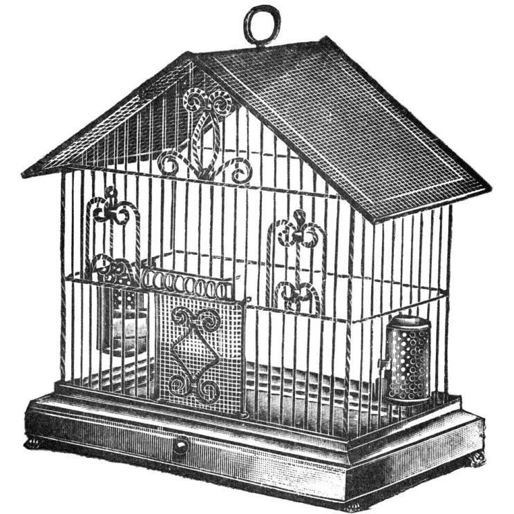 Etchings Birdcage - Peaked top, twisted wire detail.-Paper Art-20&quotx20"