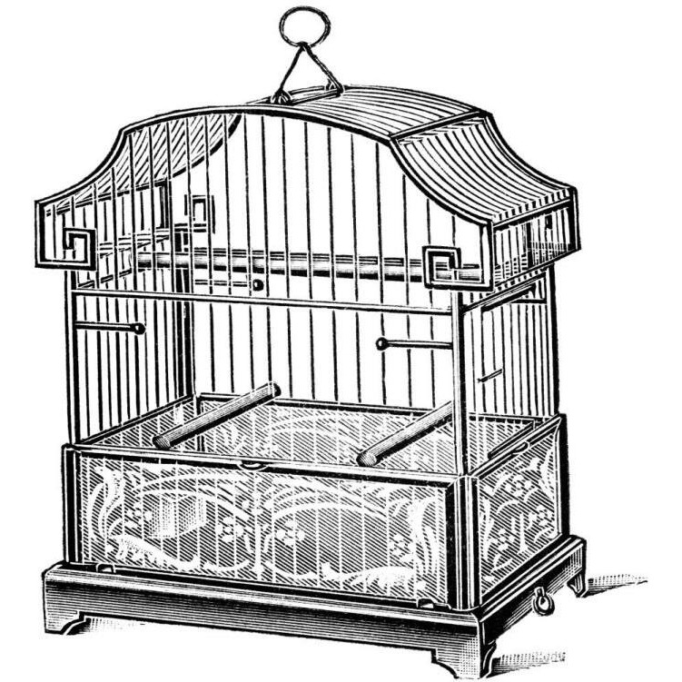 Etchings Birdcage - Gable top, floral base.-Paper Art-20&quotx20"