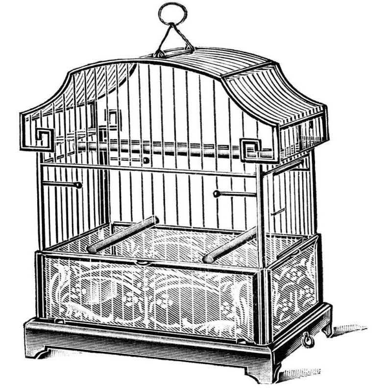 Etchings Birdcage - Gable top, floral base.-Paper Art-38&quotx38"