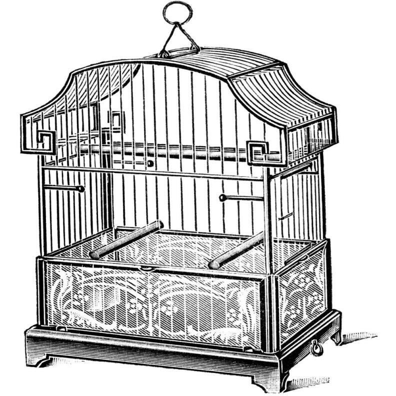 Etchings Birdcage - Gable top, floral base.-Paper Art-42&quotx42"