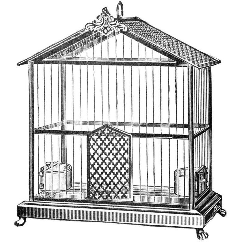 Etchings Birdcage - Peaked top.-Paper Art-38&quotx38"