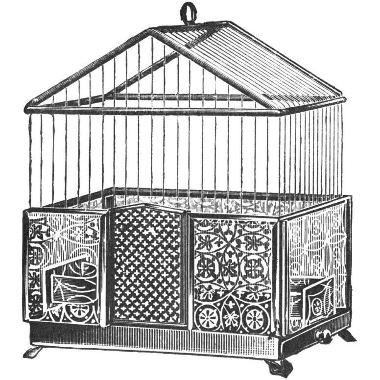 Etchings Birdcage - Peaked top, patterned base.-Paper Art-26&quotx26"
