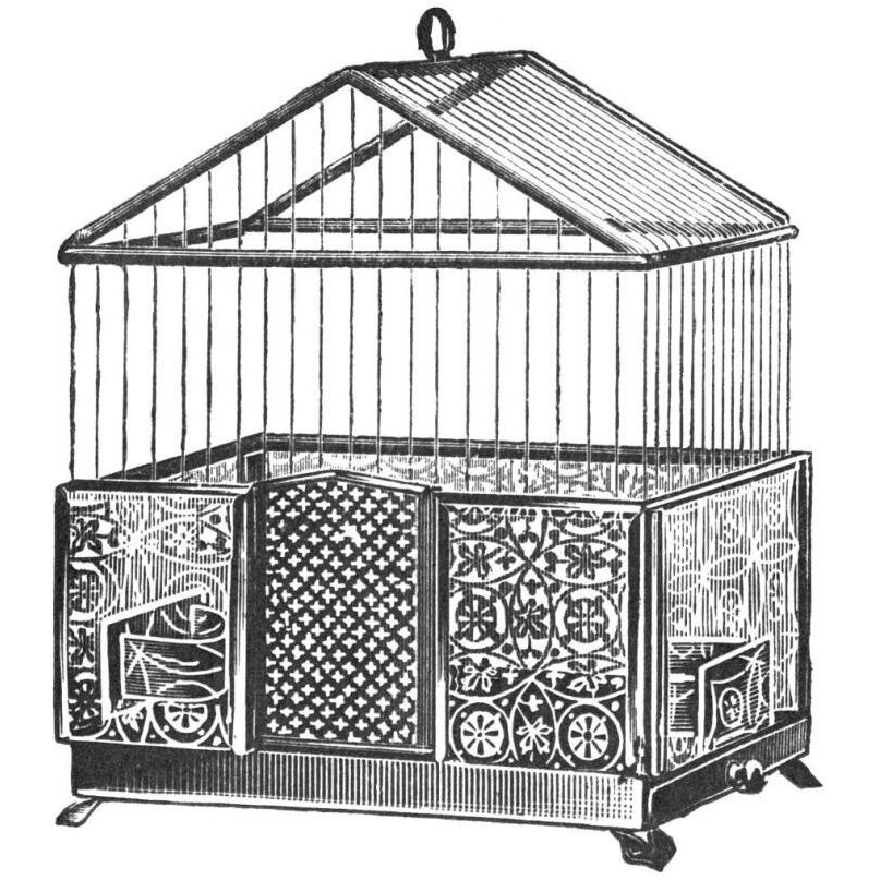 Etchings Birdcage - Peaked top, patterned base.-Paper Art-42&quotx42"