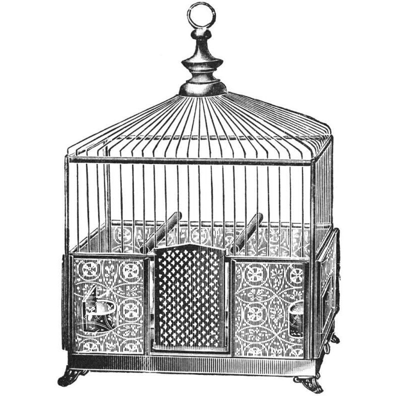Etchings Birdcage - Pyramidal top, patterned base.-Paper Art-32&quotx32"