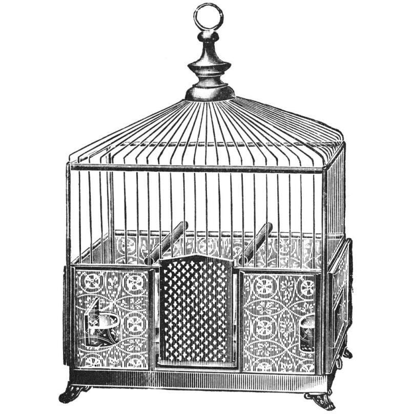 Etchings Birdcage - Pyramidal top, patterned base.-Paper Art-42&quotx42"