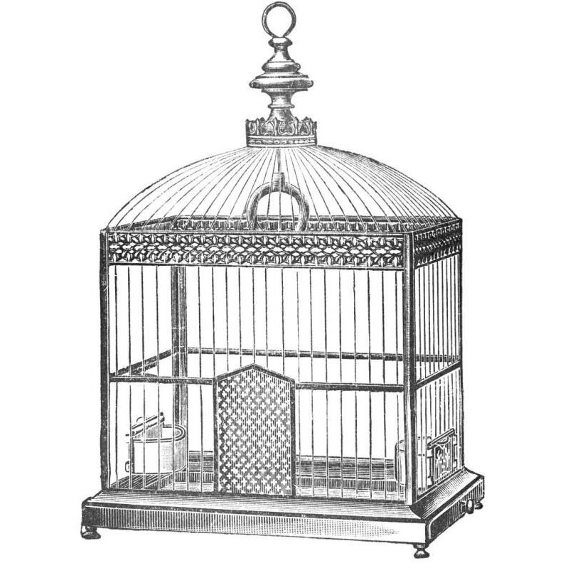 Etchings Birdcage - Arched top, filigree detail.-Paper Art-32&quotx32"