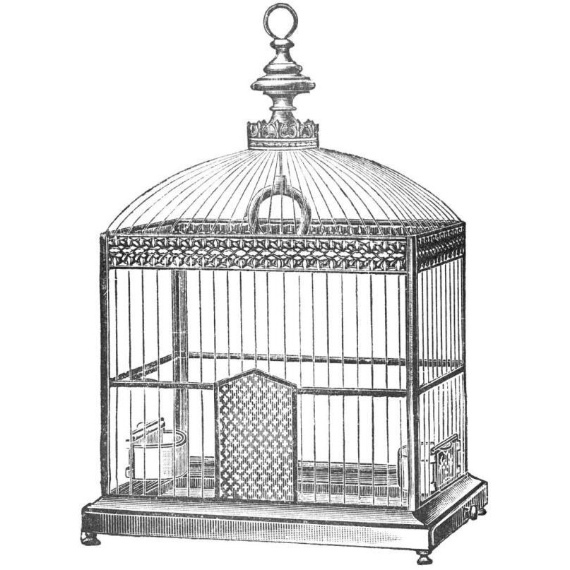 Etchings Birdcage - Arched top, filigree detail.-Paper Art-42&quotx42"